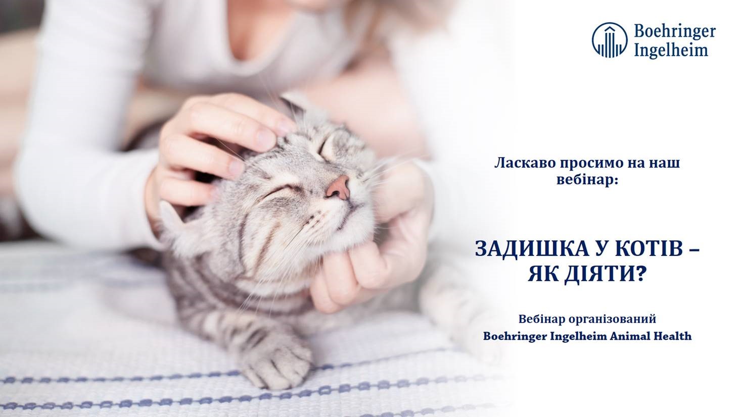 ЗАПРОШЕННЯ! ВЕБІНАР "ЗАДИШКА У КОТІВ – ЯК ДІЯТИ?"