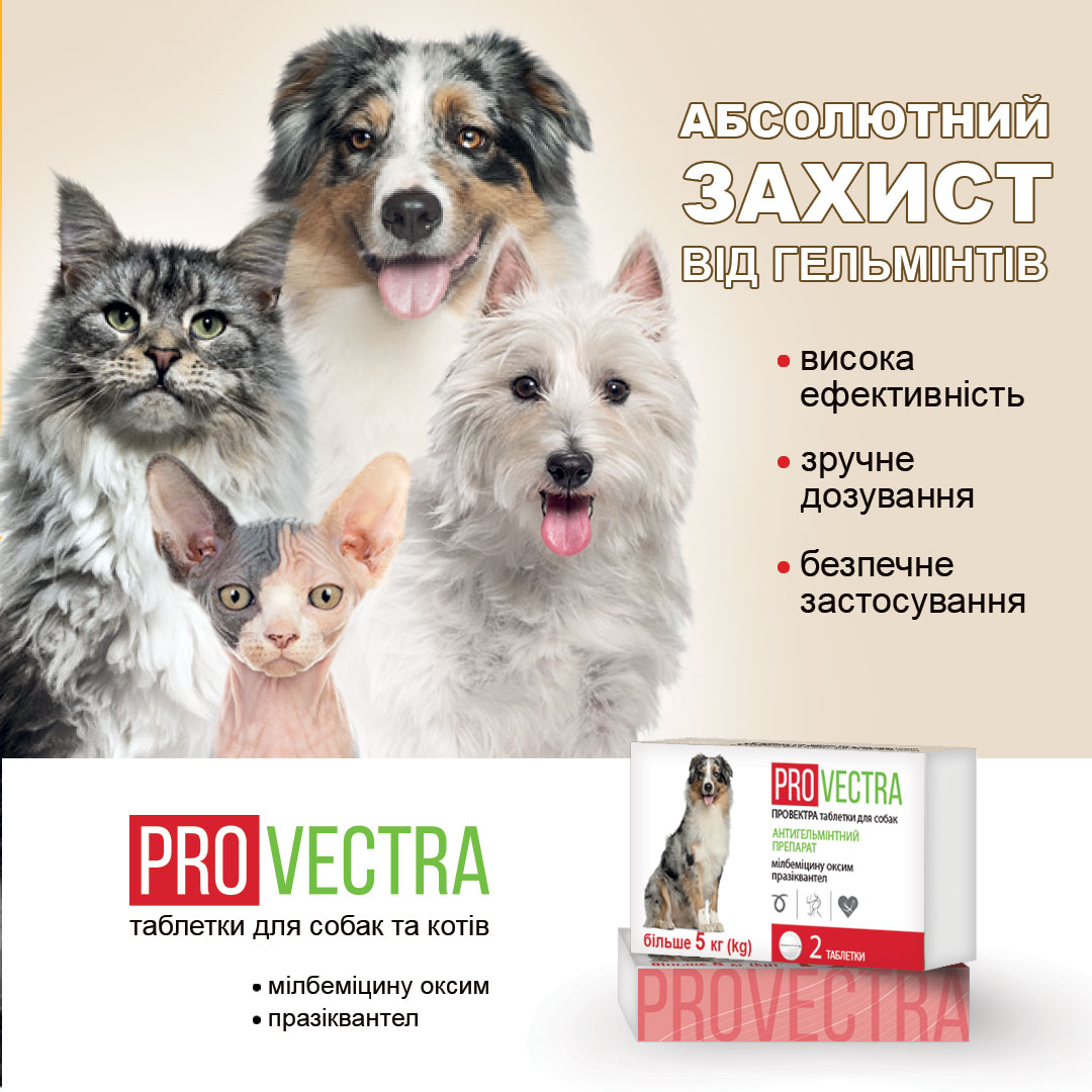 ПРОВЕКТРА - абсолютний захист від гельмінтів. Акція 20+5!
